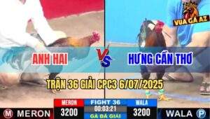 Trận 36 Giải CPC3 6/7/2025 - Anh Hai Vs Hưng Cần Thơ