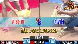 Trận 5 CPC3 15/07/2025 - Anh Bé Bến Tre Vs Anh Việt