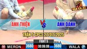 Trận 5 CPC3 27/7/2025 - Gà Anh Danh Đâm Cựa Quá Tịch Lấy Xổ Nhẹ Nhàng