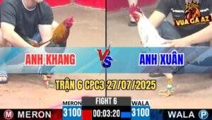 Trận 6 CPC3 27/7/2025 - Gà Anh Xuân Lật Kèo Trên Thế Thua Quá Hay