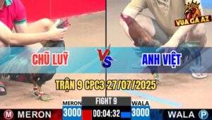 Trận 9 CPC3 27/7/2025 - Que Xanh Mẻ Hiệu Anh Tính Gaking Đá Bo Quá Lực