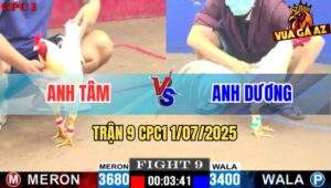 Trận 9 CPC1 1/7/2025 - Gà Úa Anh Tâm Đâm Cây Ngay Ngực Hạ Sát Đối Thủ