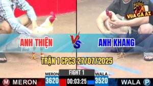 Trận 1 CPC3 27/7/2025 - Gà Anh Kháng Nạp Chân Trời Đánh Hạ Gọn Đối Thủ