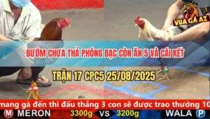 Trận 17 CPC5 25/8/2025 - Bướm Nhỏ Mà Ngông Điều Đá Cho Hư Hình