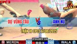 Trận 18 CPC2 6/8/2025 - Điều Trọc Cổ Anh Dự Đá Banh Lưng Gà Anh Nu