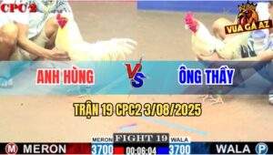 Trận 19 CPC2 3/8/2025 - Mẻ Bướm Lớn Ký Của Ông Thầy Quá Mai Độ