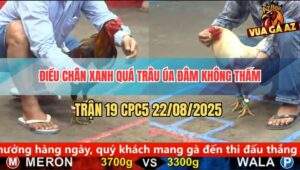 Trận 19 CPC5 22/8/2025 - Điều Chân Xanh Đá Không Tịch Nhưng Lại Lì Đòn