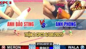 Trận 2 CPC2 6/8/2025 - Bướm Hiệu Bảo Sting Bỏ Chạy Ngay Trận Đầu Tiên
