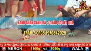 Trận 2 CPC5 19/8/2025 - Xanh Chân Xanh Dỡ Giò Là Có Kết Quả