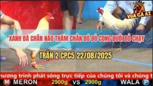 Trận 2 CPC5 22/8/2025 - Úa Xanh Đá Quá Đâm Đỏ Trụ Không Nổi Bung Chạy