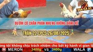 Trận 22 CPC5 26/8/2025 - Xám Son Có Chân Cúp Điện, Nài Đỏ Chạy Ăn Mừng