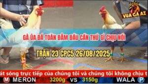 Trận 23 CPC5 26/8/2025 - Úa Siết 1 Hơi Bướm Lật Xe Không Có Đường Về