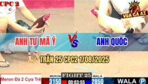 Trận 25 CPC2 1/8/2025 - Anh Bảo Sting Thả Gà Giùm Lụm Xổ Nhẹ Nhàng