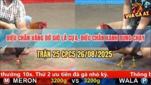 Trận 25 CPC5 26/8/2025 - Điều Chân Vàng Đá Chân Xanh Bỏ Chay Kêu Miệng