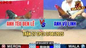 Trận 27 CPC2 3/8/2025 - Điều Cọp Anh Tèo Đen Lê Đâm Cựa Như Sam Sít