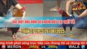 Trận 27 CPC5 26/8/2025 - Que Mặt Râu Có Chân Chí Tử Kết Liễu Đối Thủ
