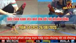 Trận 34 CPC5 26/8/2025 - Điều Chân Xanh Ra Đòn Nhanh Như Điện Xẹt