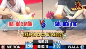 Trận 38 CPC3 4/8/2025 - Anh Hai Hóc Môn Và Anh Gấu Bến Tre