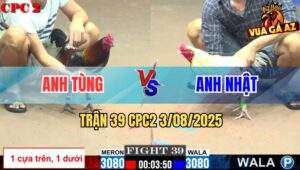 Trận 39 CPC2 3/8/2025 - Gà Điều Anh Tùng Có Chân Xạo Lờ