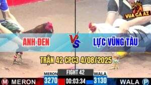 Trận 42 CPC3 4/8/2025 - Đám Bướm Vũng Tàu Đá Quá Lực Điều Tốc Chạy