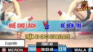 Trận 43 CPC3 5/8/2025 - Anh Huệ Chợ Lách Và Anh Bé Bến Tre