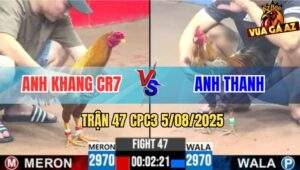 Trận 47 CPC3 5/8/2025 - Gà Khét Anh Khang Nhấc Chân Đối Thủ Hư Cặp Giò