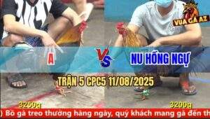 Trận 5 CPC5 11/8/2025 - Điều Đuôi Lao Đâm Khét Bông Anh Nu Mồm Đầy Máu