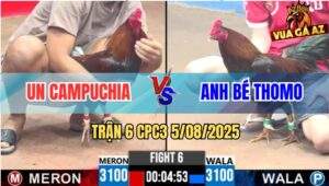 Trận 6 CPC3 5/8/2025 - Gà Anh Un Sút Đúng 1 Chân Lụm Xổ 200 Quá Đẹp