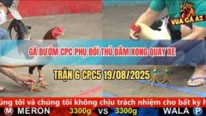 Trận 6 CPC5 19/8/2025 - Gà Bướm Campuchia Phụ Đâm Xong Quay Đầu Chạy