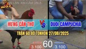 Trận 60 Bồ TonHon 27/8/2025 - Vô Nước Khuya Bảo Sting Sửa Gà Đẳng Cấp
