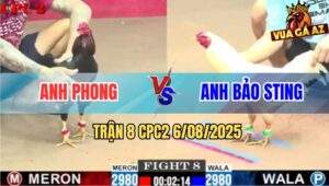 Trận 8 CPC2 6/8/2025 - Anh Phong Tiếp Tục Hạ Anh Bảo Sting