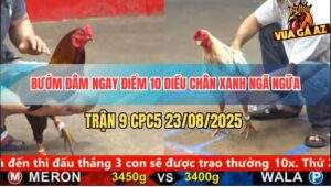 Trận 9 CPC5 23/8/2025 - Gà Bướm Ra Đòn Chí Mạng Điều Té Khỏi Cứu