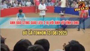 Trận 13 Bồ TonHon 13/8/2025 - Anh Bảo Sting Giao Lưu 2 Xị Với Anh Vũ