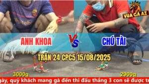 Trận 24 CPC5 Ngày 15/08/2025