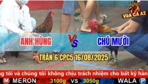 Trận 6 CPC5 Ngày 16/08/2025