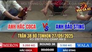 Trận 38 Bồ TonHon 27/09/2025 - Bảo Sting Tiếp Tục Thất Thủ Với Anh Hắc