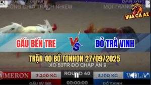 Trận 40 Bồ TonHon 27/09/2025 - Anh Gấu Bến Tre Và Anh Đỏ Trà Vinh
