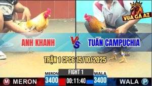 Trận 1 CPC6 15/10/2025 - Gà Cú Anh Khanh Vô Trong Ngấm Đòn Bỏ Miệng