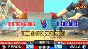 Trận 10 CPC6 28/10/2025 - Gà Khét Dính Tang Chân Sau Cứng Mình Chìm