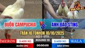 Trận 10 TonHon 10/10/2025 - Anh Bảo Sting Tiếp Tục Hạ Anh Đuôn CPC