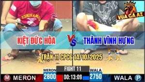 Trận 11 CPC6 14/10/2025 - Gà Điều Anh Kiệt Đức Hòa Gồng Mình Cứu Chủ