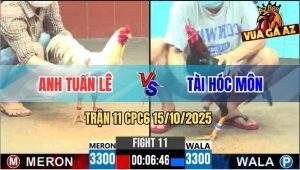 Trận 11 CPC6 15/10/2025 - Gà Úa Anh Tuấn Lê Đá Điều Không Kịp Tha Lơ