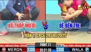 Trận 11 CPC6 28/10/2025 - Khét Chổi Chân Cuôi Quá Hay Vàng Té Hết Sữa