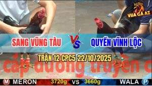 Trận 12 CPC5 22/10/2025 - Anh Sang Vũng Tàu Và Anh Quyền Vĩnh Lộc