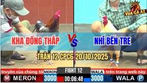 Trận 12 CPC6 20/10/2025 - Gà Xám Có Chân Chí Mạng Khử Gà Bướm Quá Đẹp