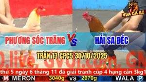 Trận 13 CPC5 30/10/2025 - Anh Phương Sóc Trăng Và Anh Hải Sa Đéc