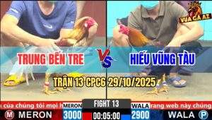 Trận 13 CPC6 29/10/2025 - Camelo Chụp Vô Đâm Điều Gỡ Cựa Không Kịp Thở