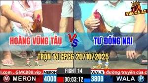 Trận 14 CPC6 20/10/2025 - Điều Chân Xanh Anh Tư Đồng Nai Đâm Như Chỉa
