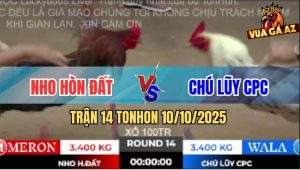 Trận 14 TonHon 10/10/2025 - Anh Nho Hòn Đất Và Chú Lũy Campuchia