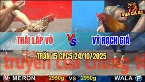 Trận 15 CPC5 24/10/2025 - Anh Thái Lấp Vò Và Anh Vỹ Rạch Giá